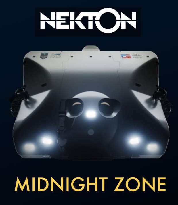Nekton: Exploring the Midnight Zone